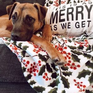 Meet your Posher, Mackenzie